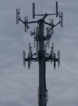 Several issues can stress the capacity and capabilities of a cellular network. The data requirements driven by the advent of the “smart phone” have introduced data demands on already strained networks that cannot afford additional pressure from natural and man-made disasters, temporary and localized increases in data demand and temporary capacity reduction due to technology upgrades or equipment maintenance.